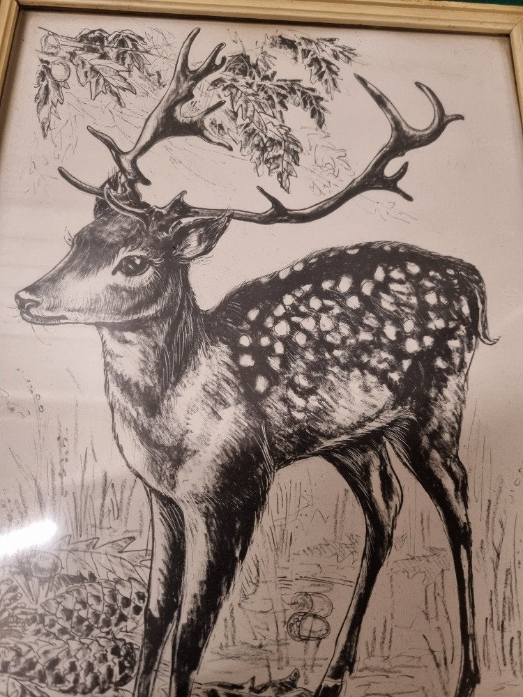schilderij tekening hert cocky jaren 60, Ophalen of Verzenden, 'T Olde Gre-j, Info@toldegrej.nl, Endepoelstraat 20f Didam