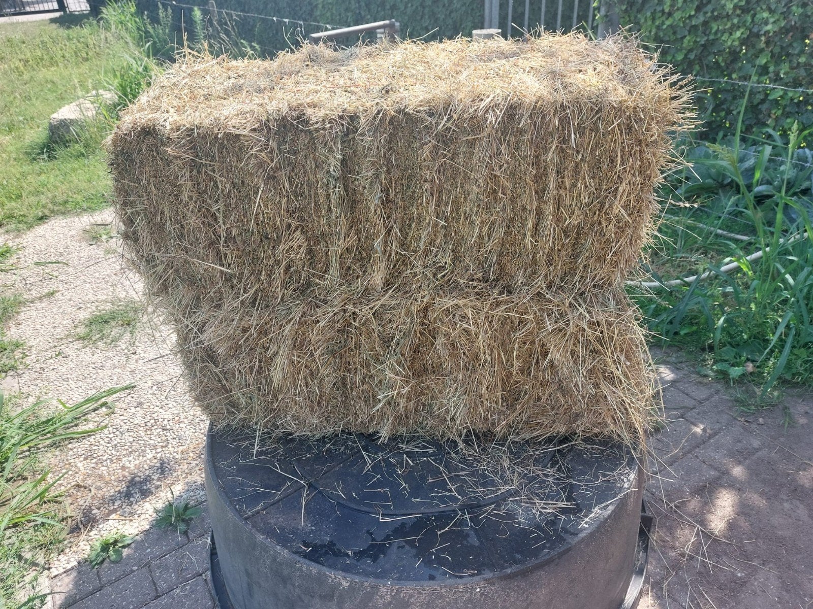 Mooie balen hooi, Dieren en Toebehoren, Ophalen of Verzenden