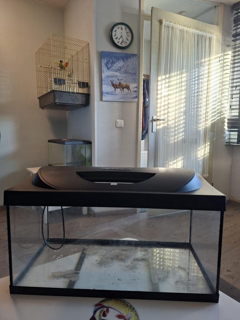 Aquarium, Dieren en Toebehoren, Ophalen, Gebruikt, Leeg aquarium, Tetra