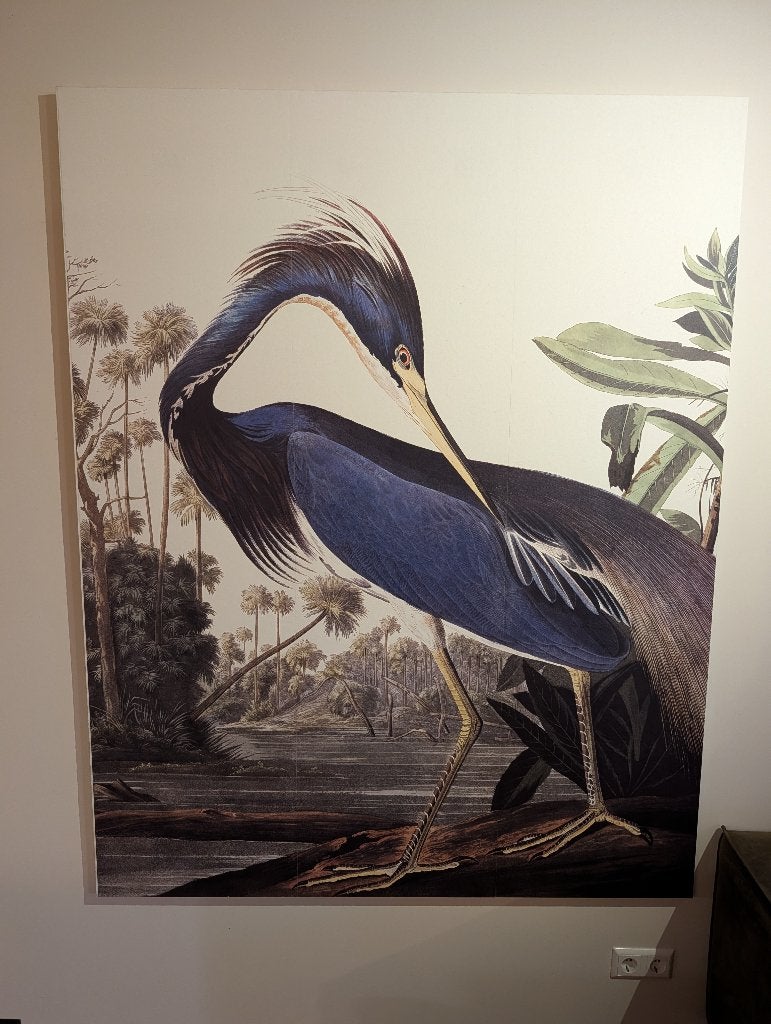 Wanddecoratie Reiger Audubon, Huis en Inrichting, Ophalen, 180 cm, 143 cm, Hout