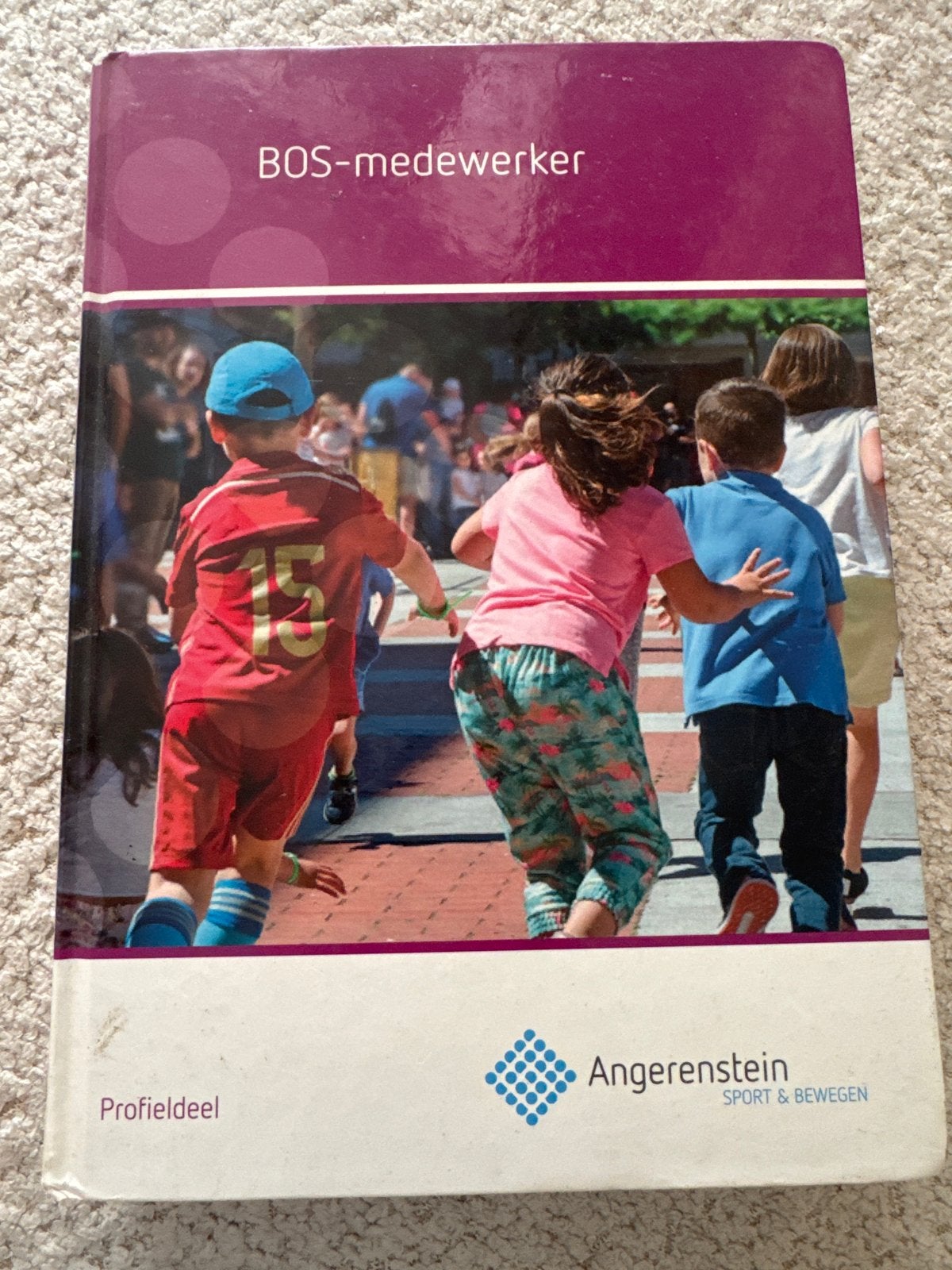 BOS-medewerker Profieldeel - Angerenstein Sport & Bewegen, Boeken, Ophalen of Verzenden, Gelezen, Overige niveaus, Overige vakken