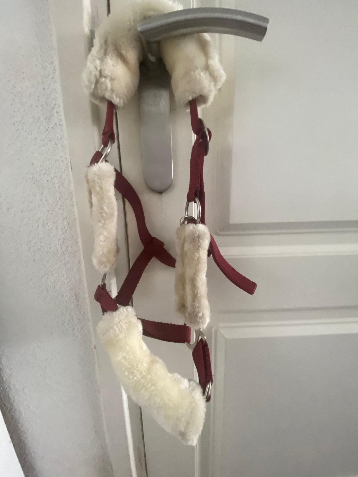 Halster rood mini shet bont, Dieren en Toebehoren, Ophalen, Mini, Halster, Rood