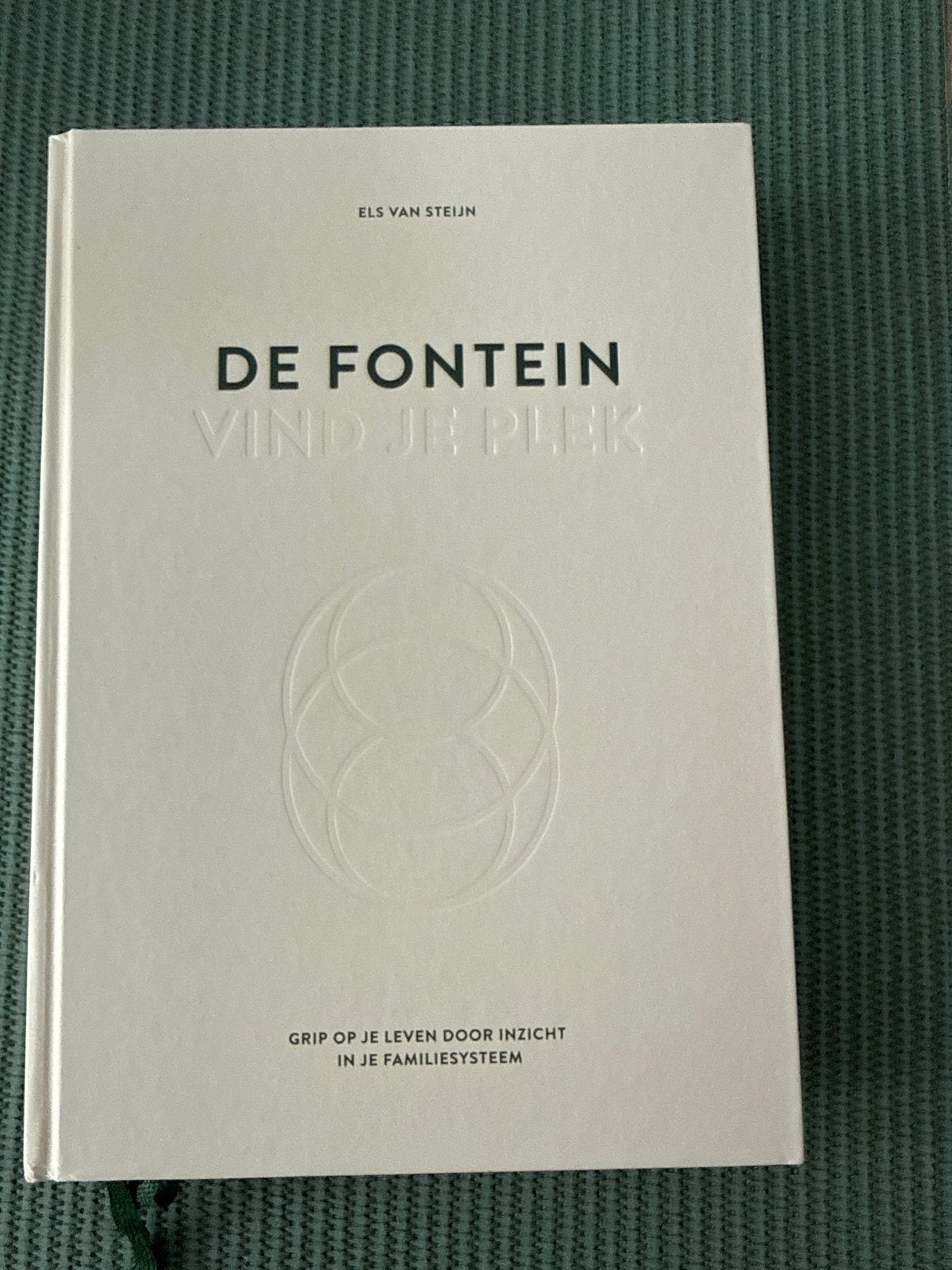 Els van Steijn - De fontein, vind je plek, Ophalen of Verzenden, Els van Steijn, Ontwikkelingspsychologie, Zo goed als nieuw