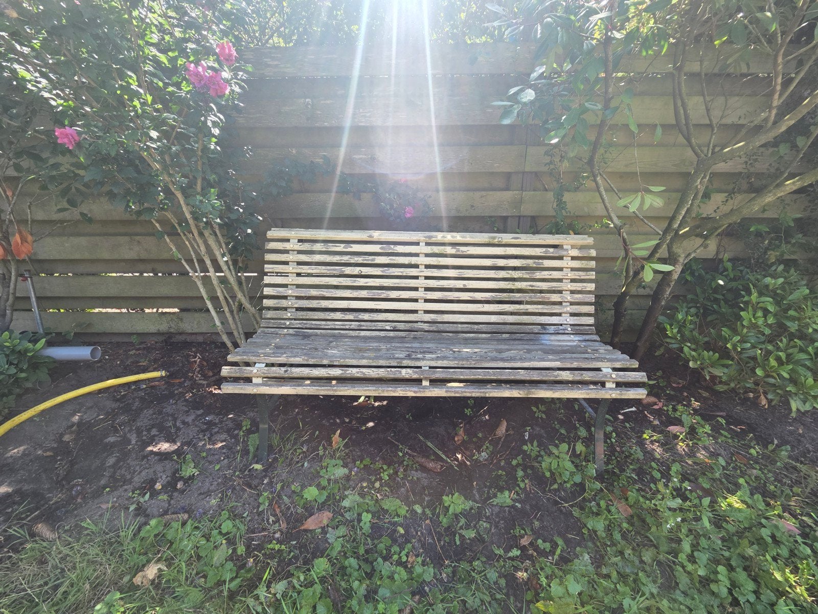 Houten tuinbankje, Ophalen, Gebruikt, Hout