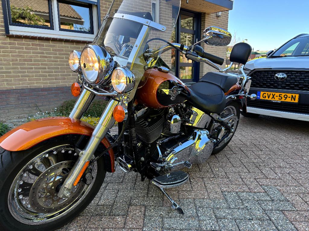 Harley Davidson farboy, Particulier, Chopper