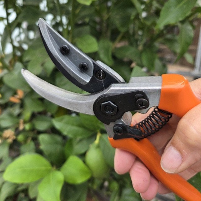 Professionele rozen snoeischaar, Tuin en Terras, Snoeischaren, Niet ingevuld, Metallo, Niet ingevuld, Ophalen of Verzenden