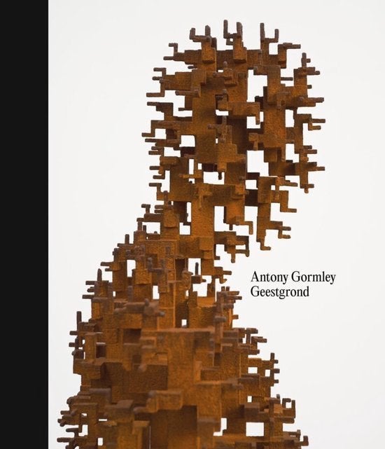 Antony Gormley - Geestgrond - Carolyn Christov-Bakargiev, Verzenden, Nieuw