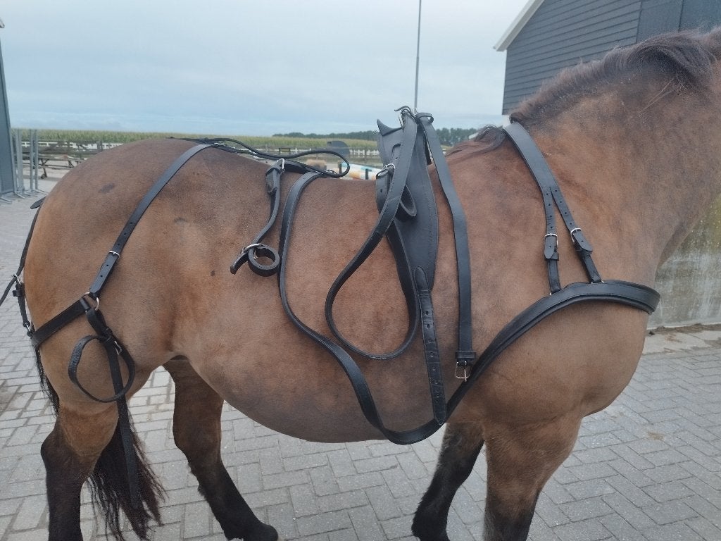 enkelspan tuig maat grote cob, Ideal Equestrian, Gebruikt, Ophalen of Verzenden, Cob