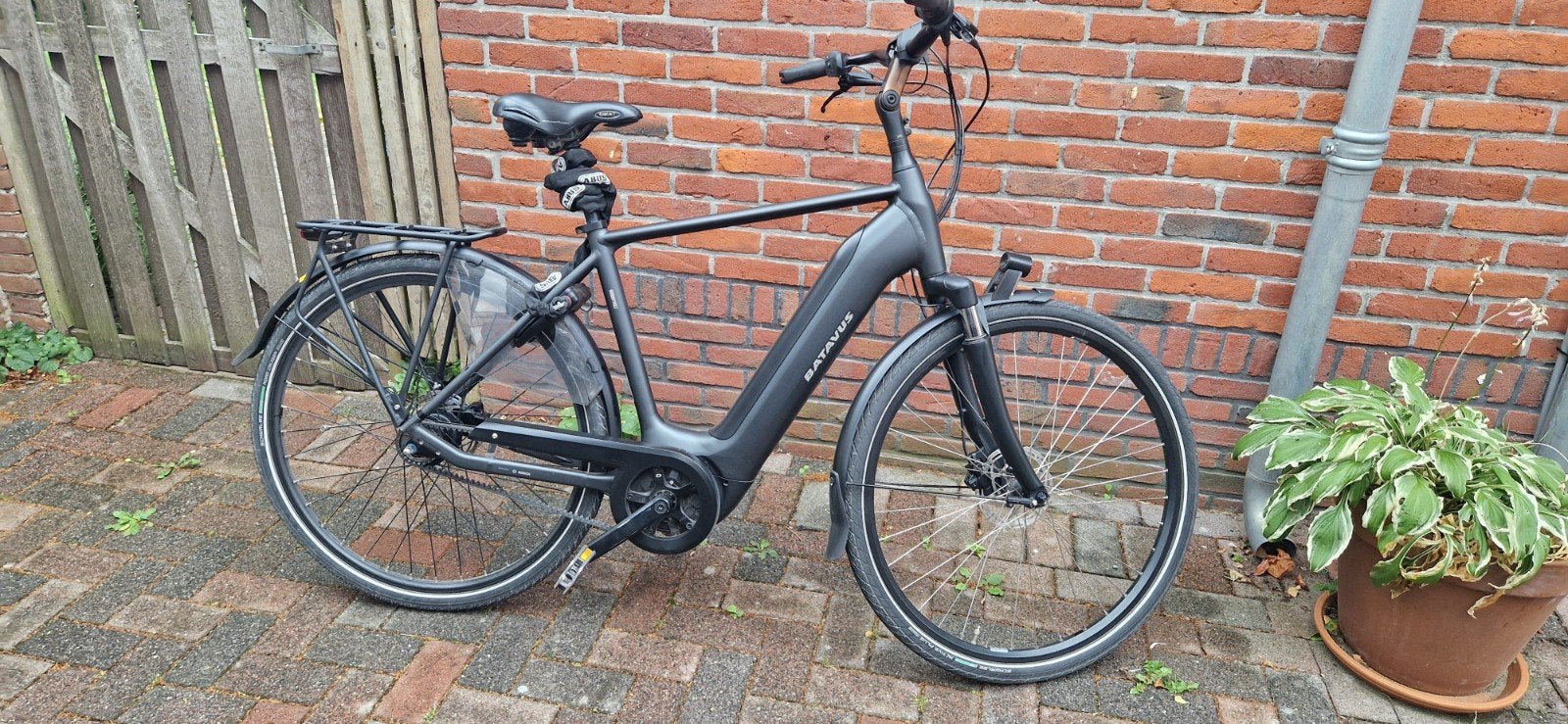 E-Bike | Batavus Finez E-Go Male | Belt | Intuvia display, Gebruikt, 51 tot 55 cm, 50 km per accu of meer, Ophalen