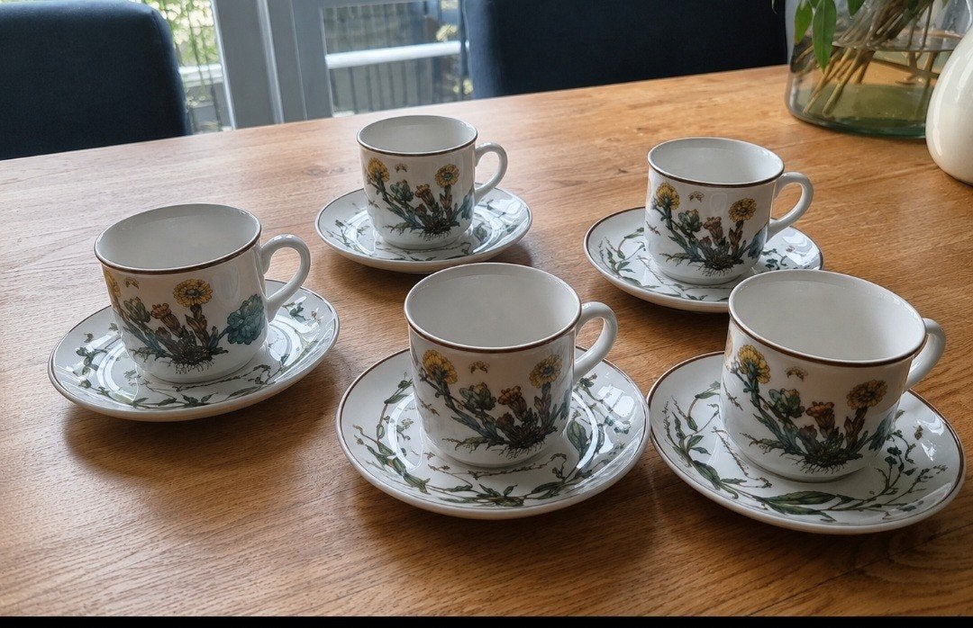 Villeroy & Boch, serie Botanica, Ophalen of Verzenden