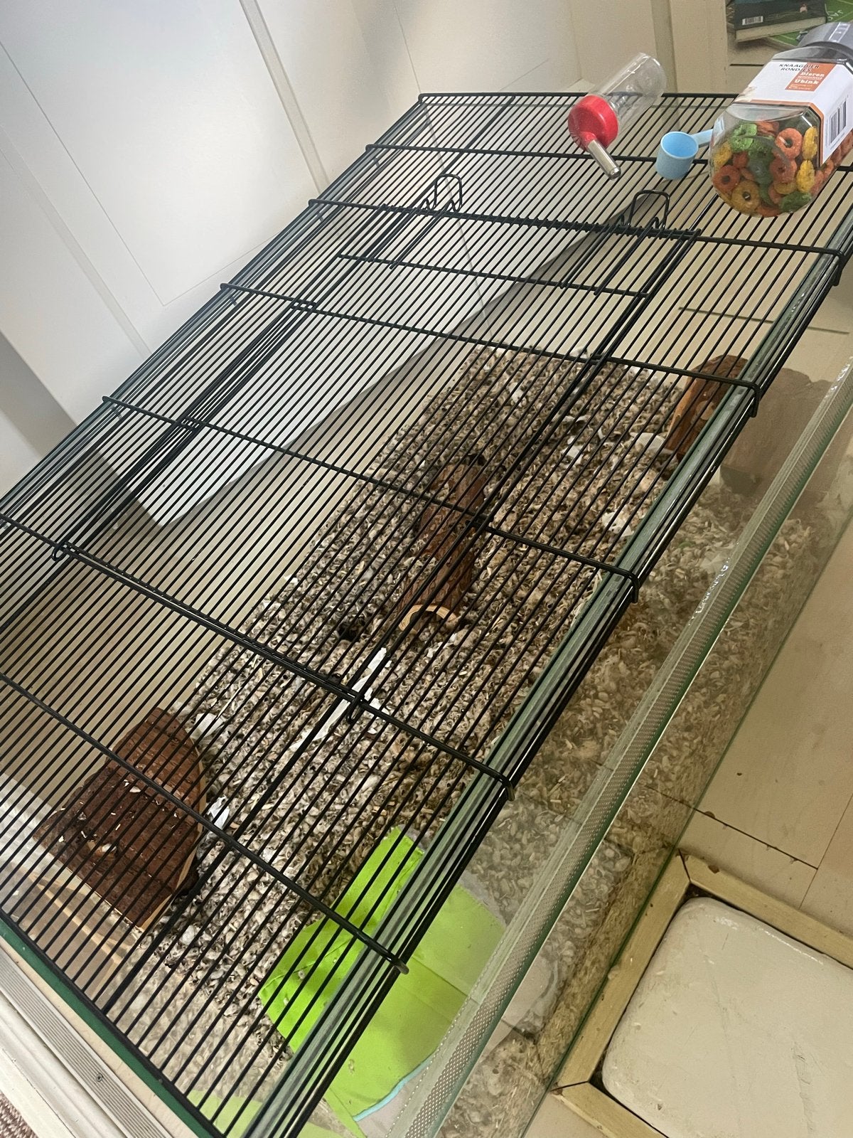 Glazen terrarium, Dieren en Toebehoren, Ophalen, Gebruikt