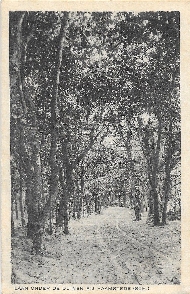 AK Haamstede - Laan onder de duinenbij Haamstede, Verzamelen, Ansichtkaarten | Nederland, Ophalen of Verzenden, 1920 tot 1940