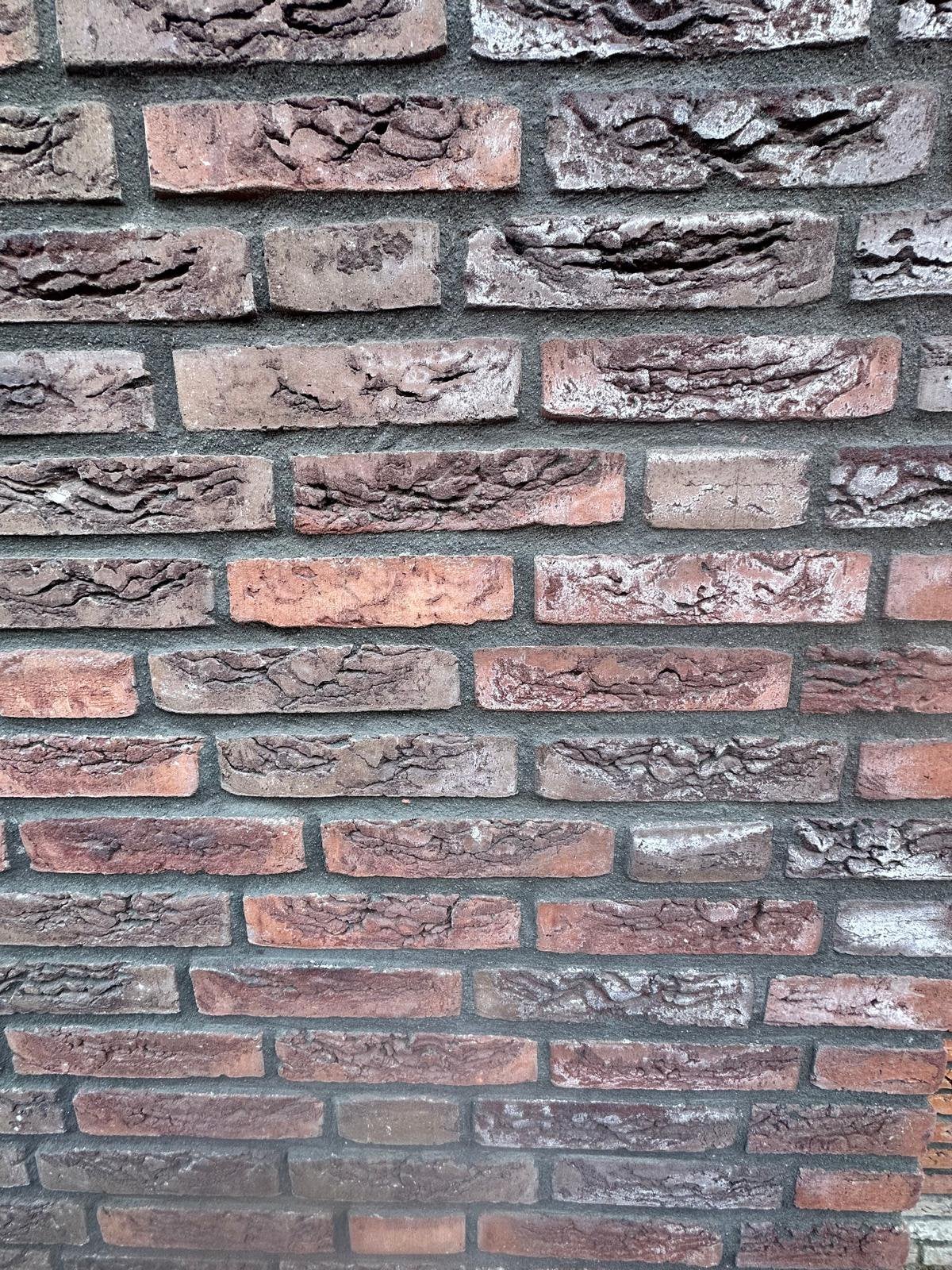 Gezocht: Wienerberger Rutiel WS WF 11418100 (6N121)., Ophalen of Verzenden, Bakstenen