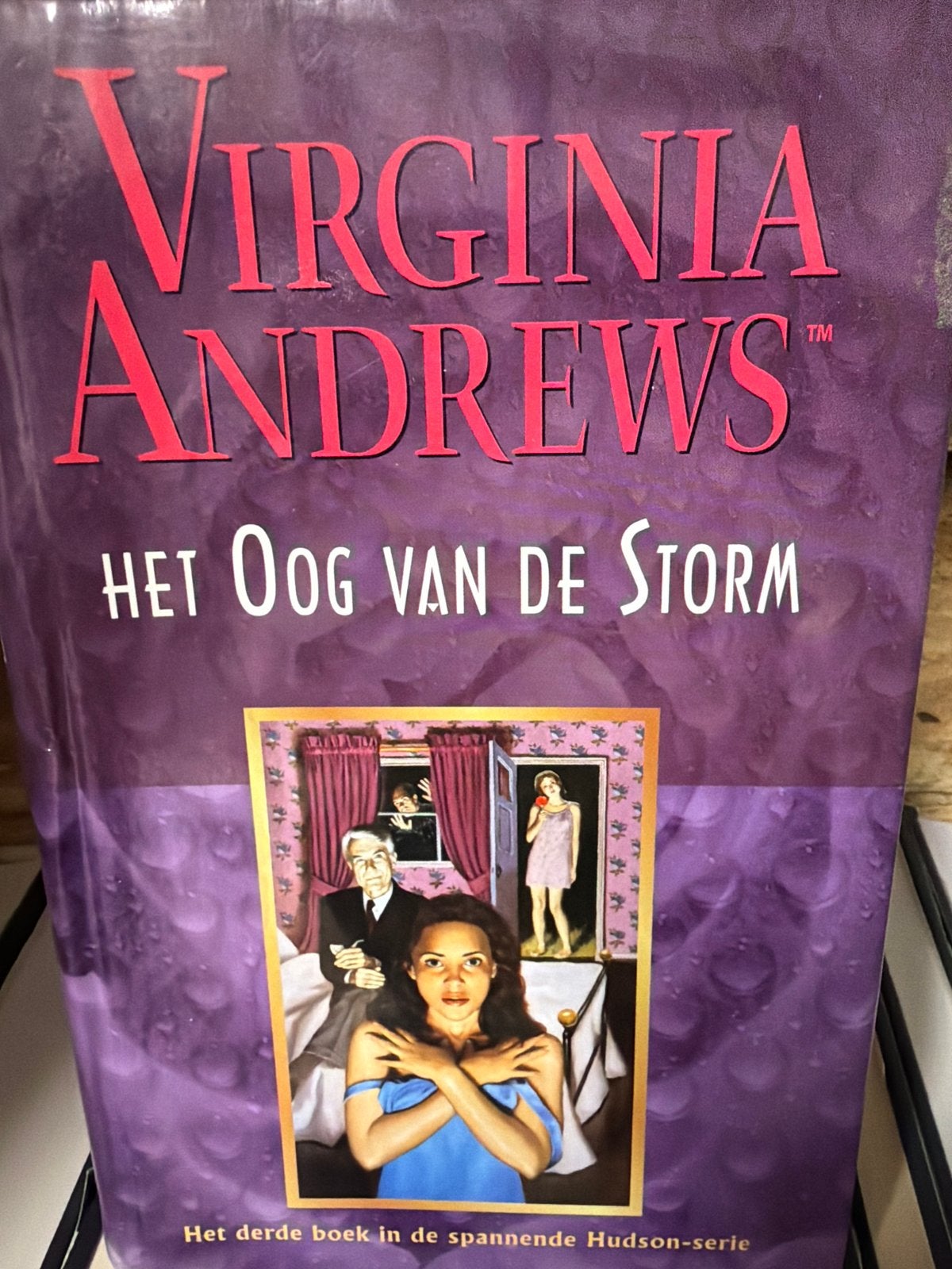 Virginia Andrews - Het Oog van de Storm (Hudson-serie), Ophalen of Verzenden, Gelezen, Nederland