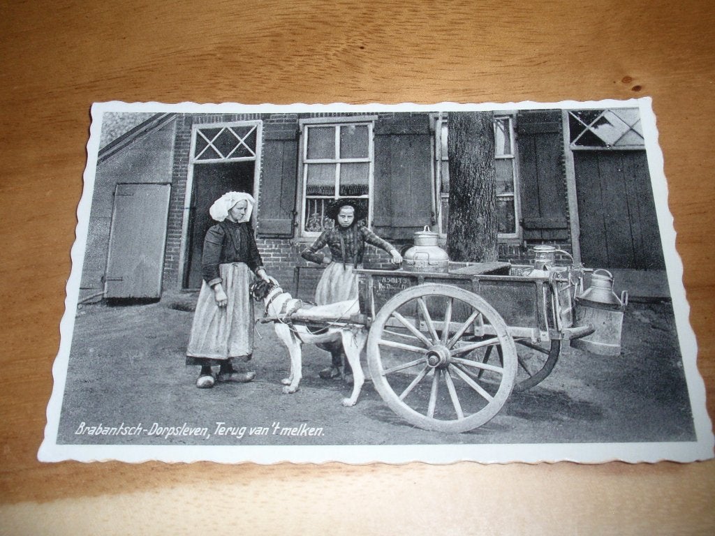 Den Dungen Hondenkar A Smits Melkboer Militair gelopen, Verzamelen, Verzenden, Voor 1920, Gelopen, Noord-Brabant