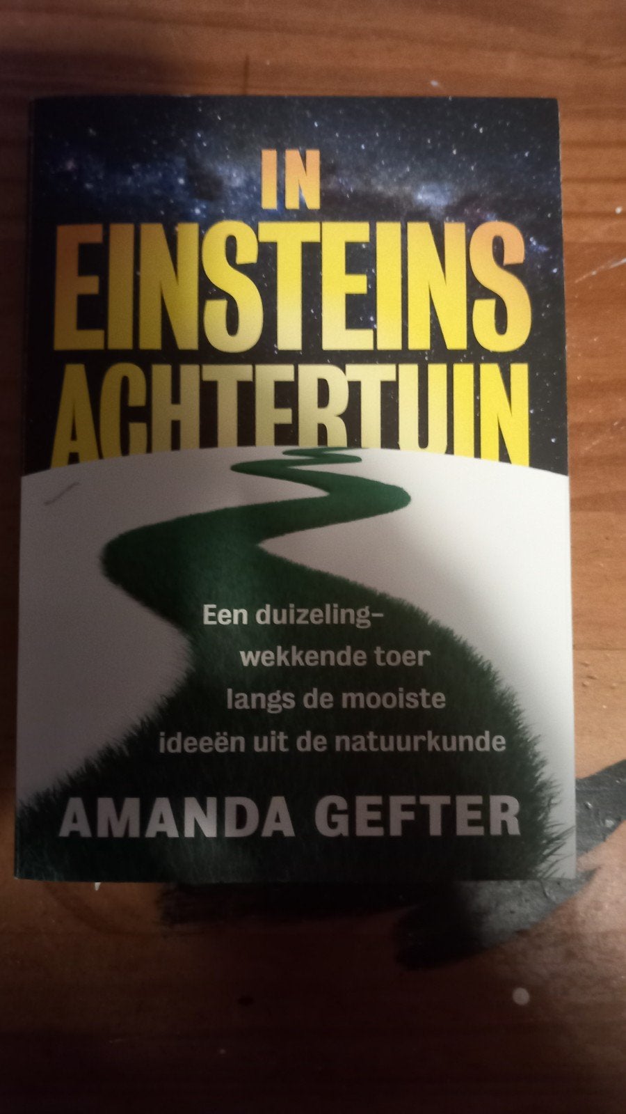 In Einsteins Achtertuin - Een duizelingwekkende toer, Ophalen of Verzenden, Gelezen, Amanda Gefter, Natuurwetenschap