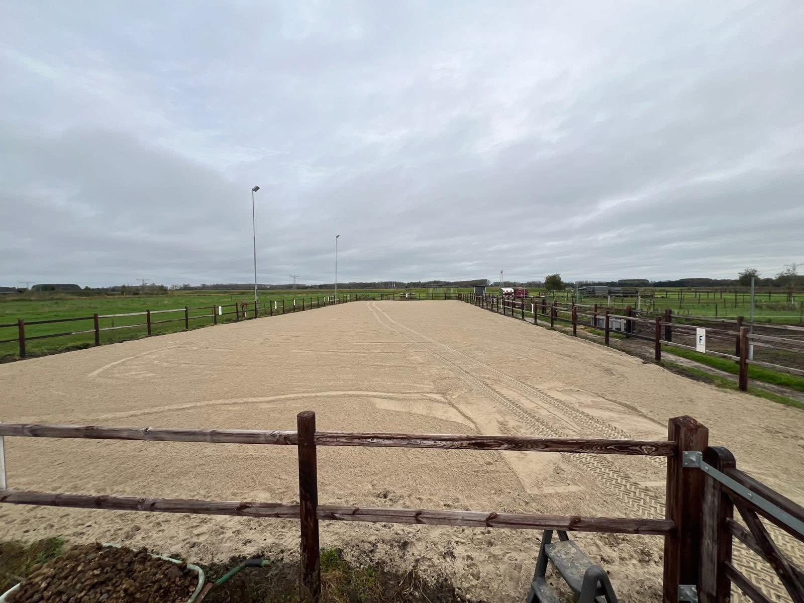 Gezellig kleinschalige pensionstalling - Elshout, Dieren en Toebehoren, Stalling en Weidegang, Stalling, 1 paard of pony