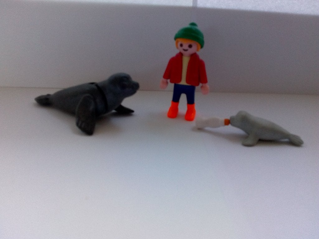 Playmobil set 4660 Jongen met zeehonden, Ophalen of Verzenden, Gebruikt