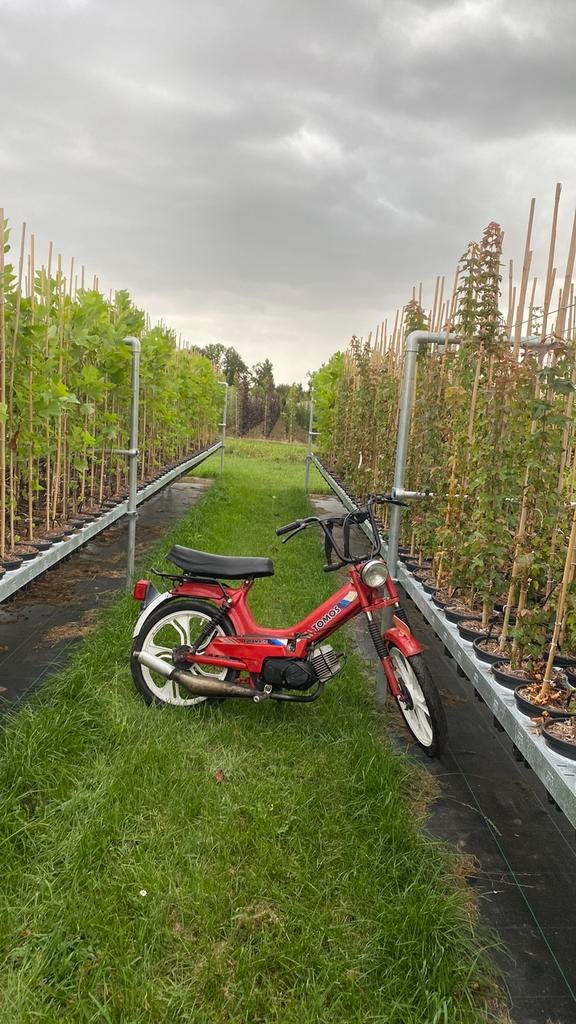 Tomos a35 zonder kenteken, Ophalen, Zo goed als nieuw, Standard