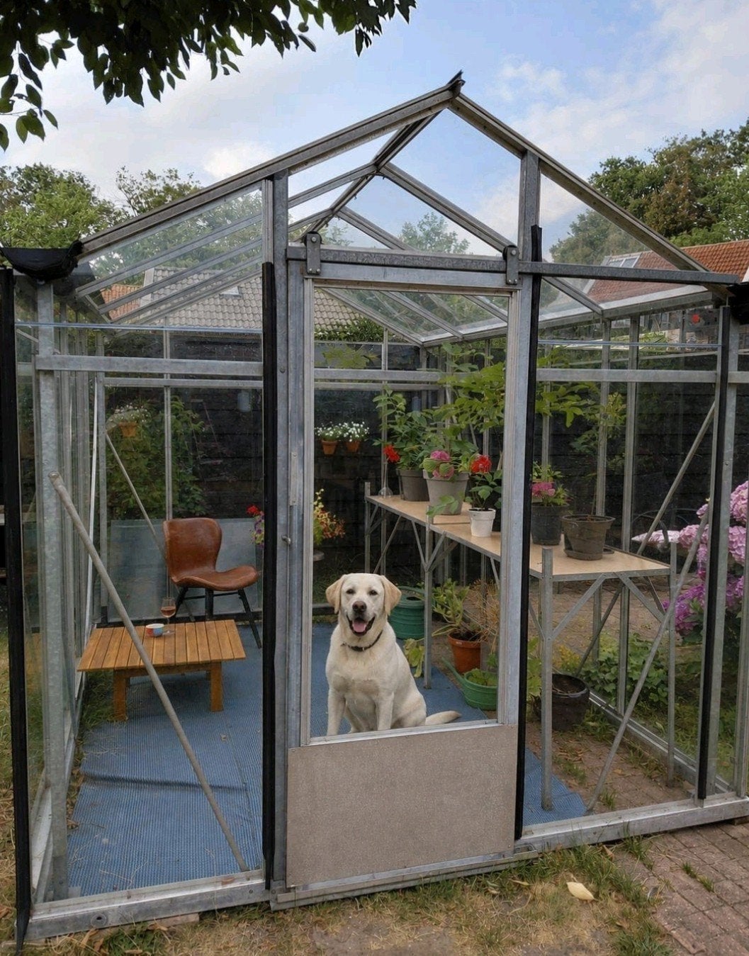 Tuinkas zwart zeer stevige hobbykas., Tuin en Terras, Ophalen of Verzenden, Glas, Aluminium