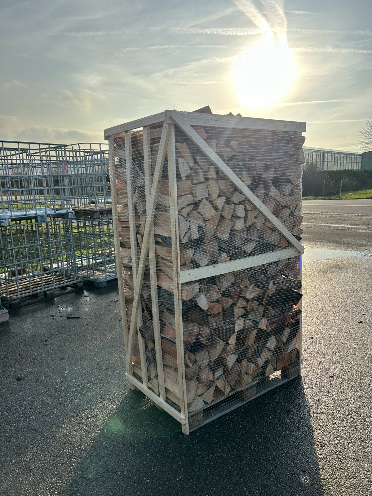 Vers gekloofd beukenhout, 6 m³ of meer, Ophalen of Verzenden, Beukenhout, Blokken