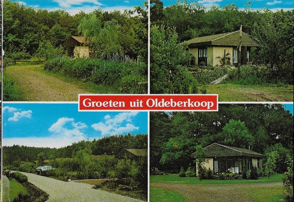 Ch189 ansichtkaart bungalowpark molenbos oldeberkoop, Ophalen of Verzenden, 1980 tot heden, Gelopen