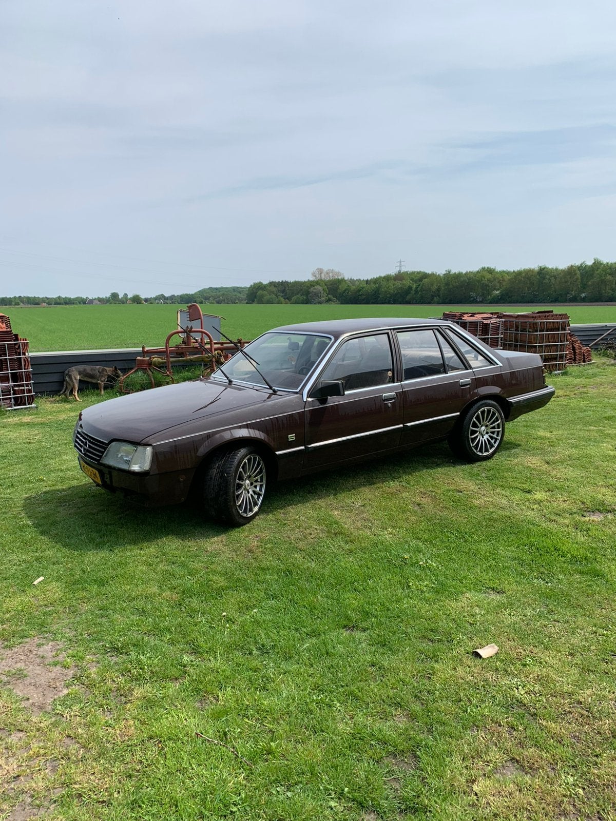 Te koop harde carresorie, Ophalen of Verzenden