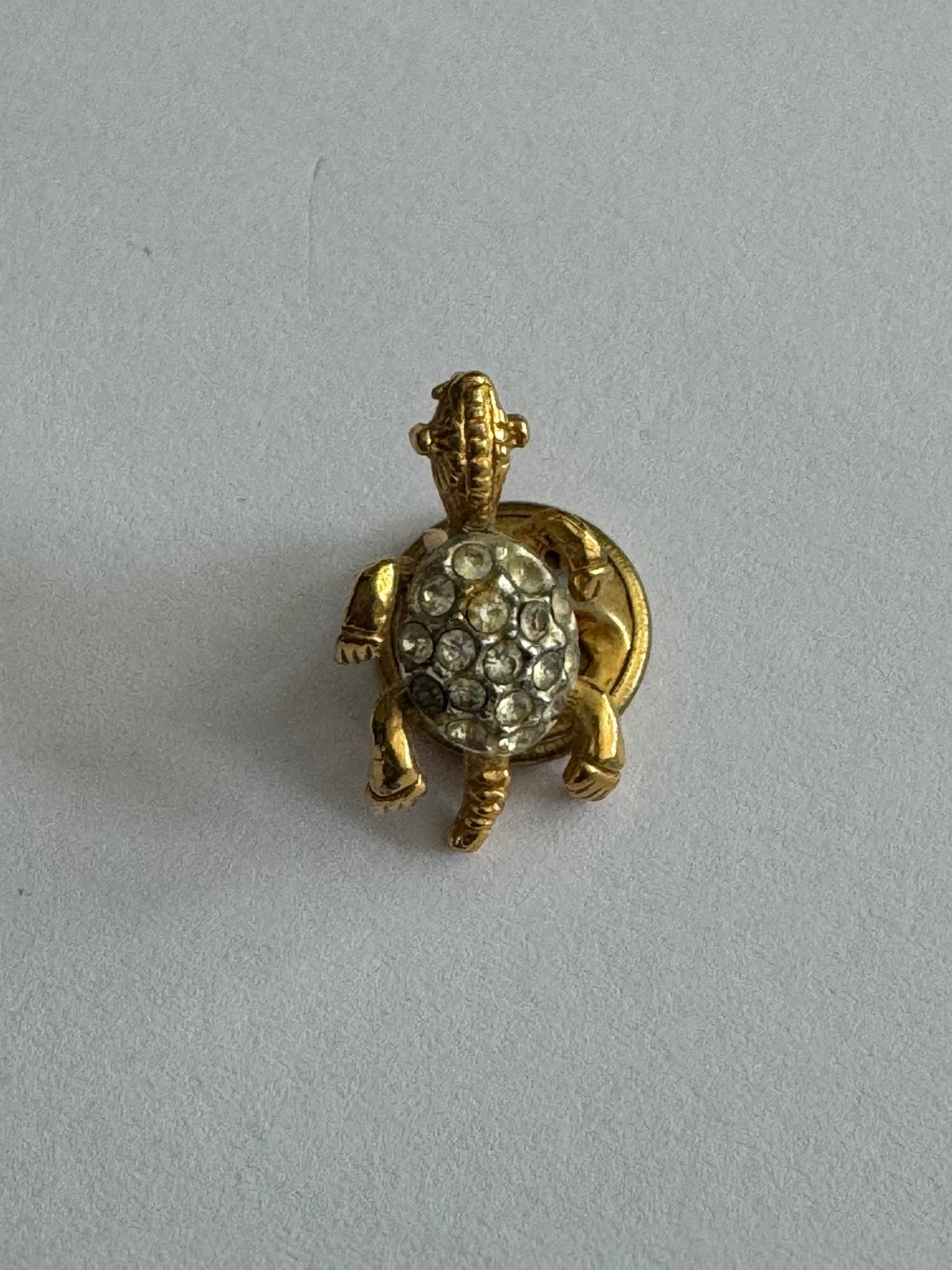 SCHILDPAD BROCHE, Overige materialen, Minder dan 4 cm, Nieuw, Ophalen of Verzenden