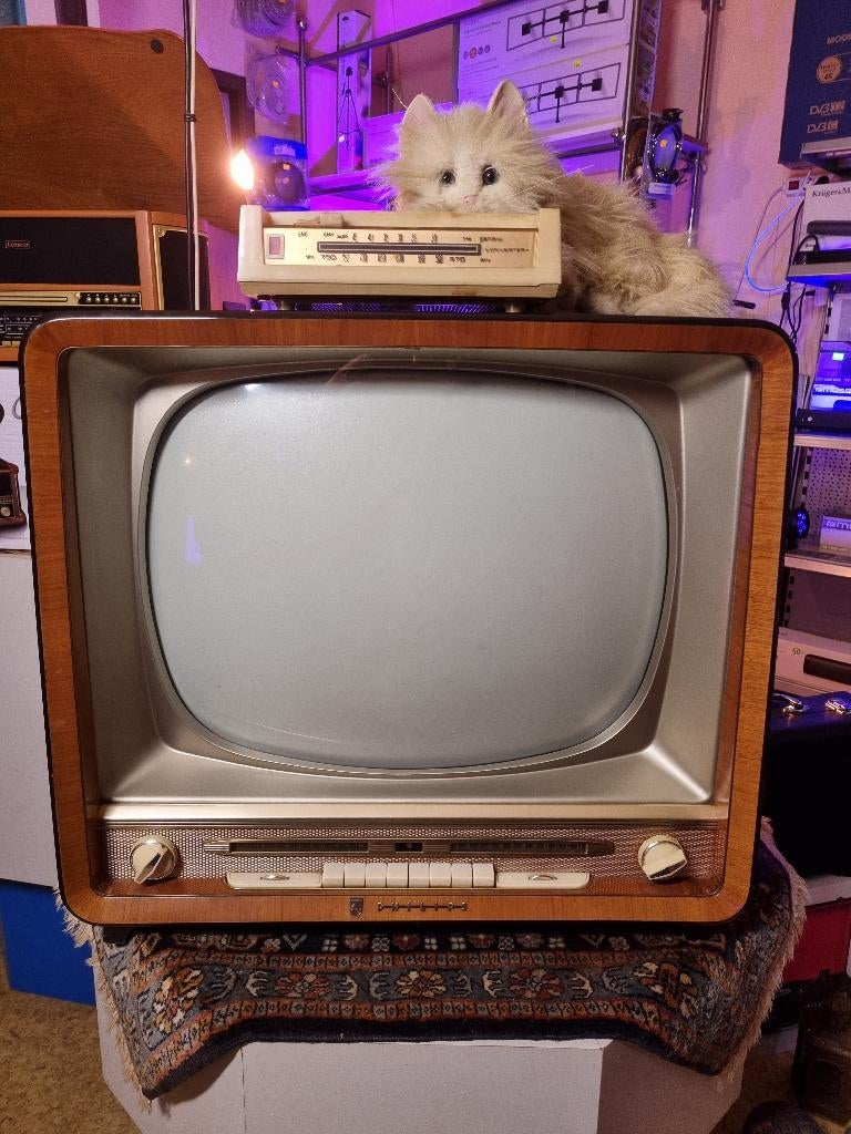 Zeldzame Philips 21 TX 290 A/00 TV uit 1960, Ophalen, Gebruikt, 60 tot 80 cm, Philips