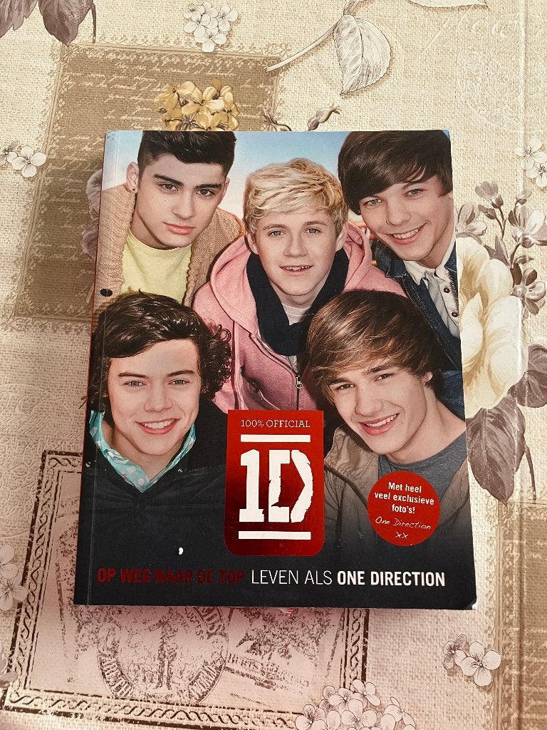 Boek - Dare to Dream Life as One Direction, Ophalen of Verzenden, Zo goed als nieuw