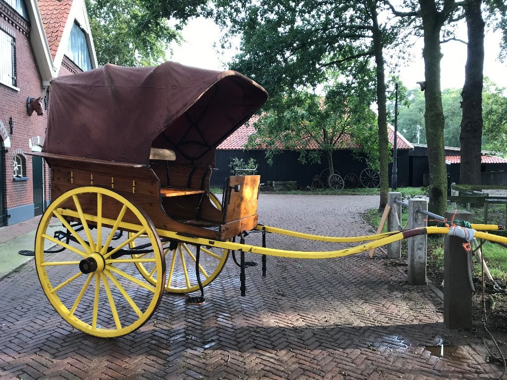 Tweewielige dogkar, grote maat, Dieren en Toebehoren, Rijtuigen en Koetsen, Gebruikt, Overige typen, Paard