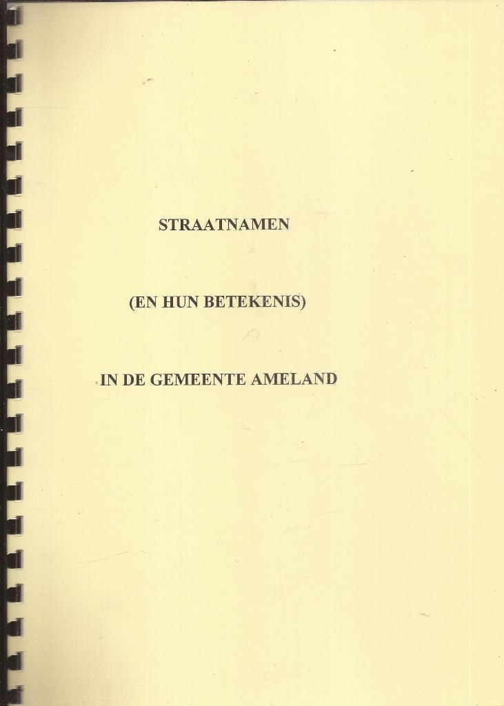 Straatnamen (en hun betekenis) in de geneente Ameland, Boeken, Geschiedenis | Stad en Regio, Ophalen of Verzenden, Zo goed als nieuw