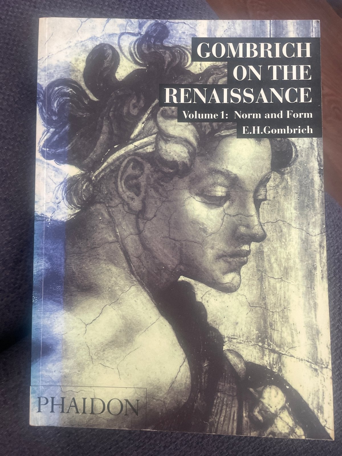 Gombrich on the Renaissance: Norm and Form - Kunstboek, Ophalen of Verzenden, Gelezen, Schilder- en Tekenkunst