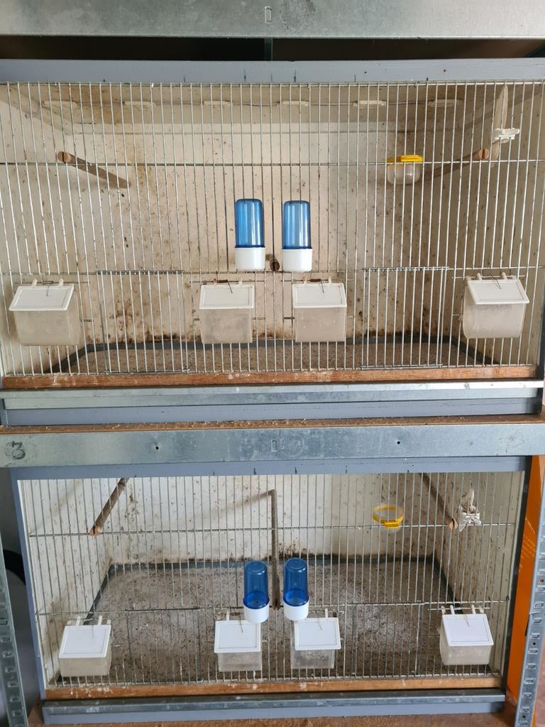 Broedkooien  2x voor eventuele tropische vogels., Dieren en Toebehoren, Vogels | Hokken en Kooien, Ophalen of Verzenden, Broedkooi of Kweekkooi