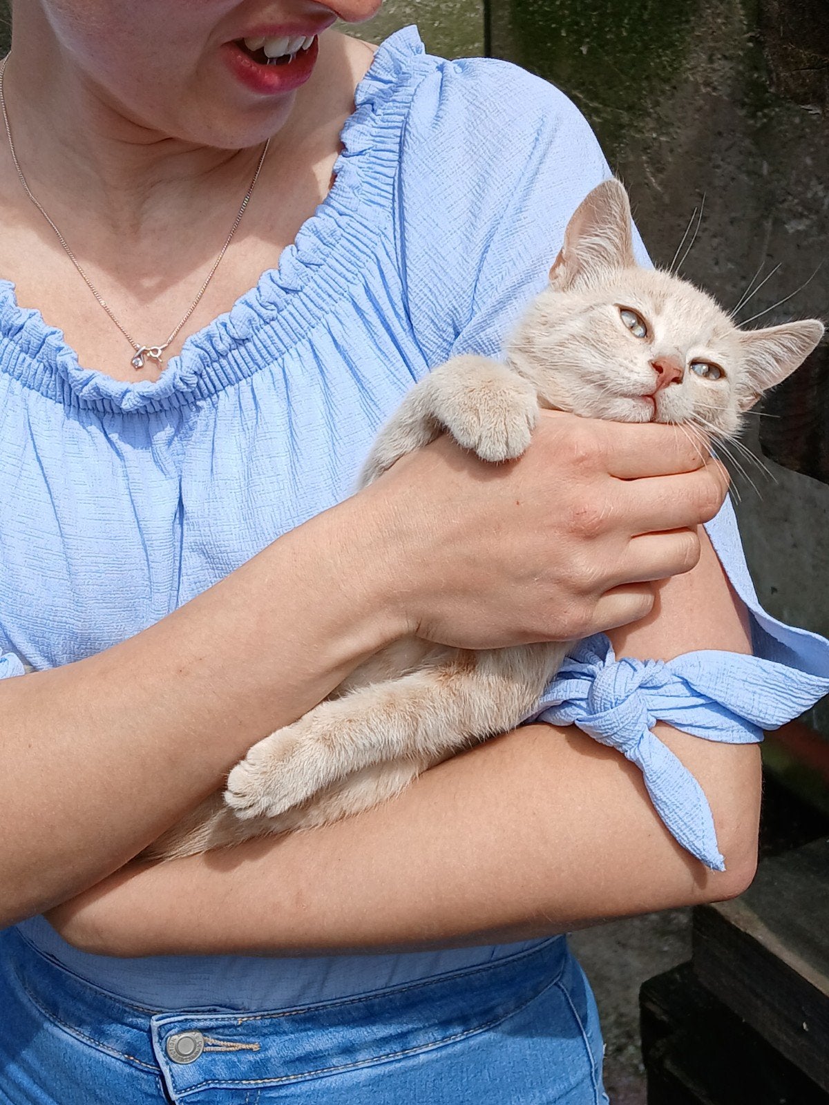 Kittens, de laatste 3, Dieren en Toebehoren, Katten en Kittens | Overige Katten, Poes, Kortharig, 0 tot 2 jaar