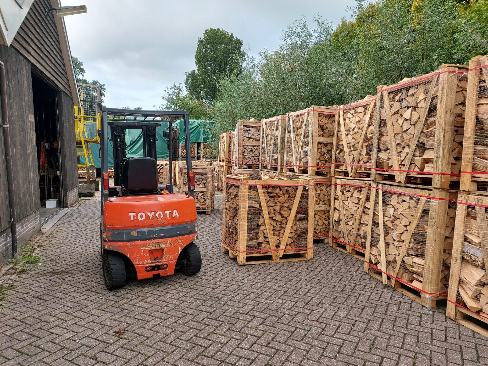 Eiken Beuken Berk nieuw op voorraad 25 en 30cm,, 6 m³ of meer, Ophalen, Overige houtsoorten, Blokken