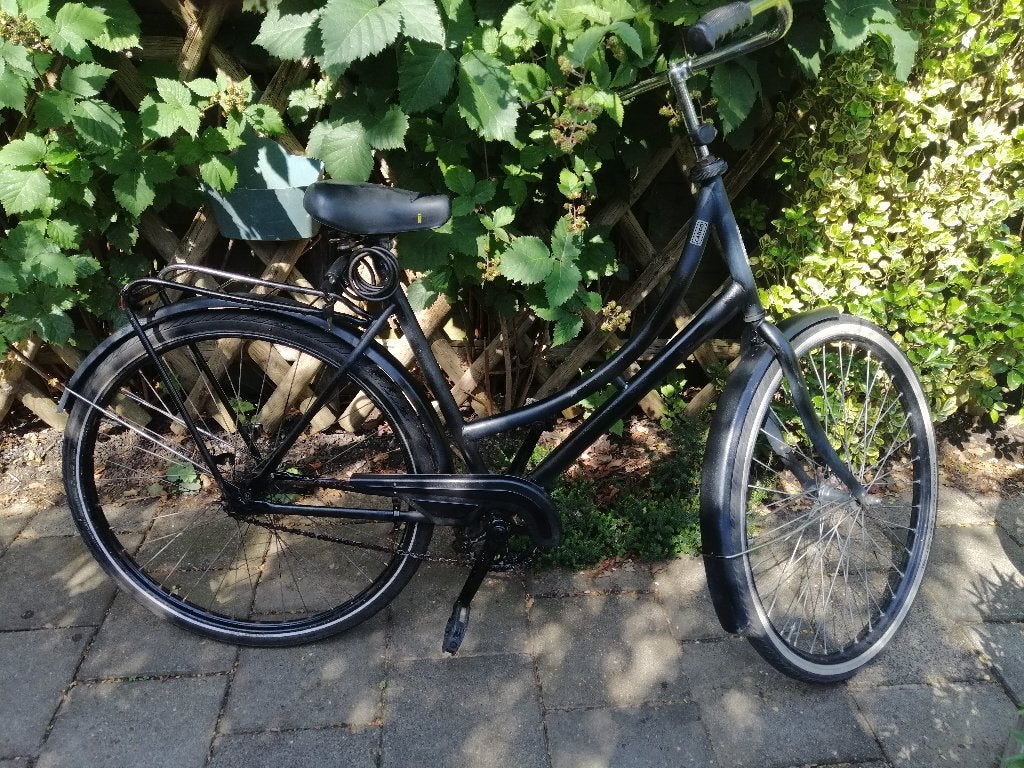 Aldo opoefiets, Ophalen, Terugtraprem, Aldo, 53 tot 56 cm