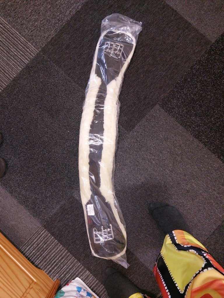 singel 75 cm, Ophalen of Verzenden, Nieuw, Dressuur