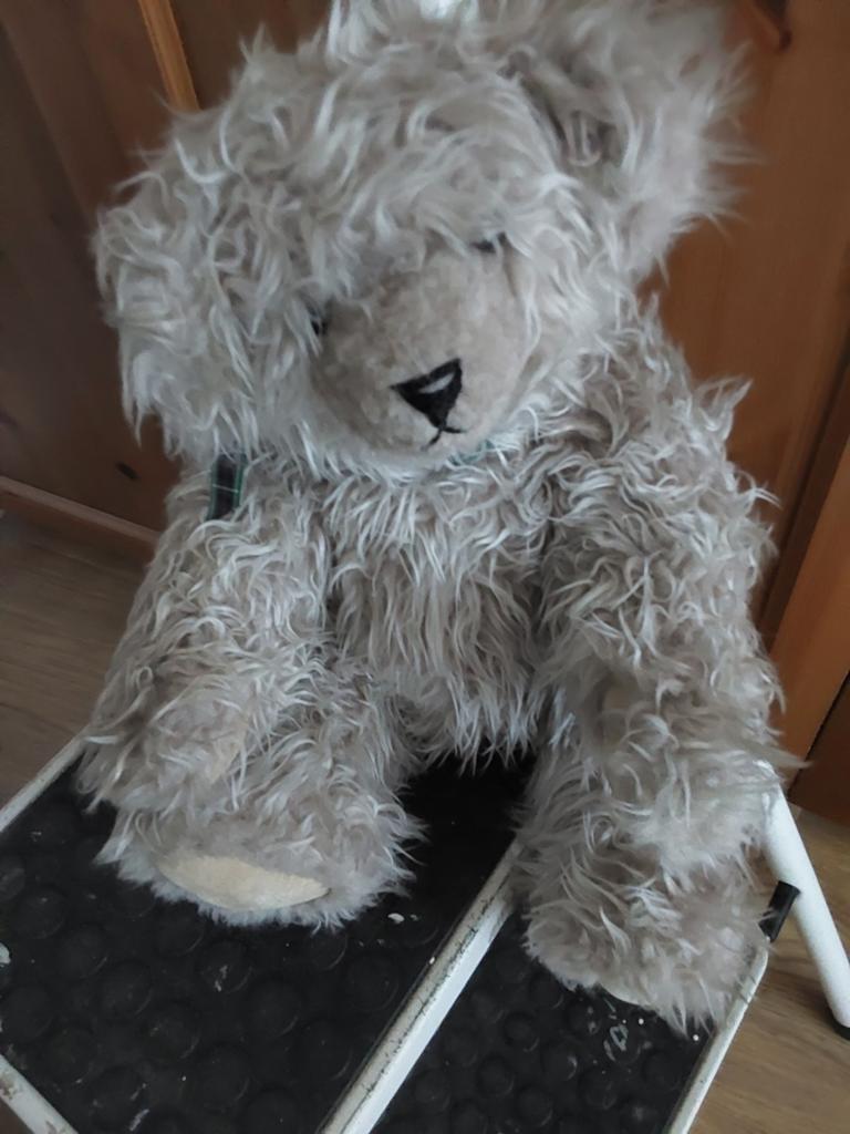 Knuffels, Ophalen, Zo goed als nieuw, Beer