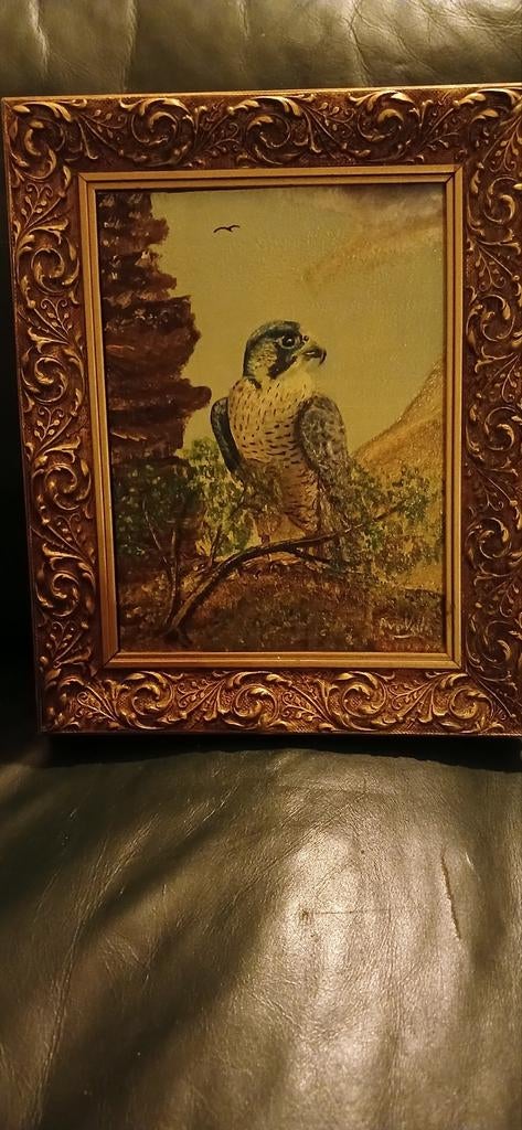 Olieverfschilderij van een valk in een gouden lijst € 50,00, Antiek en Kunst, Ophalen