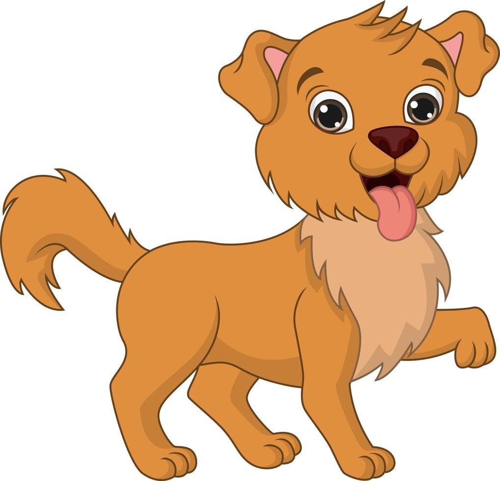 honden oppas aan geboden, Overige uren, Vanaf 10 jaar, Overige vormen