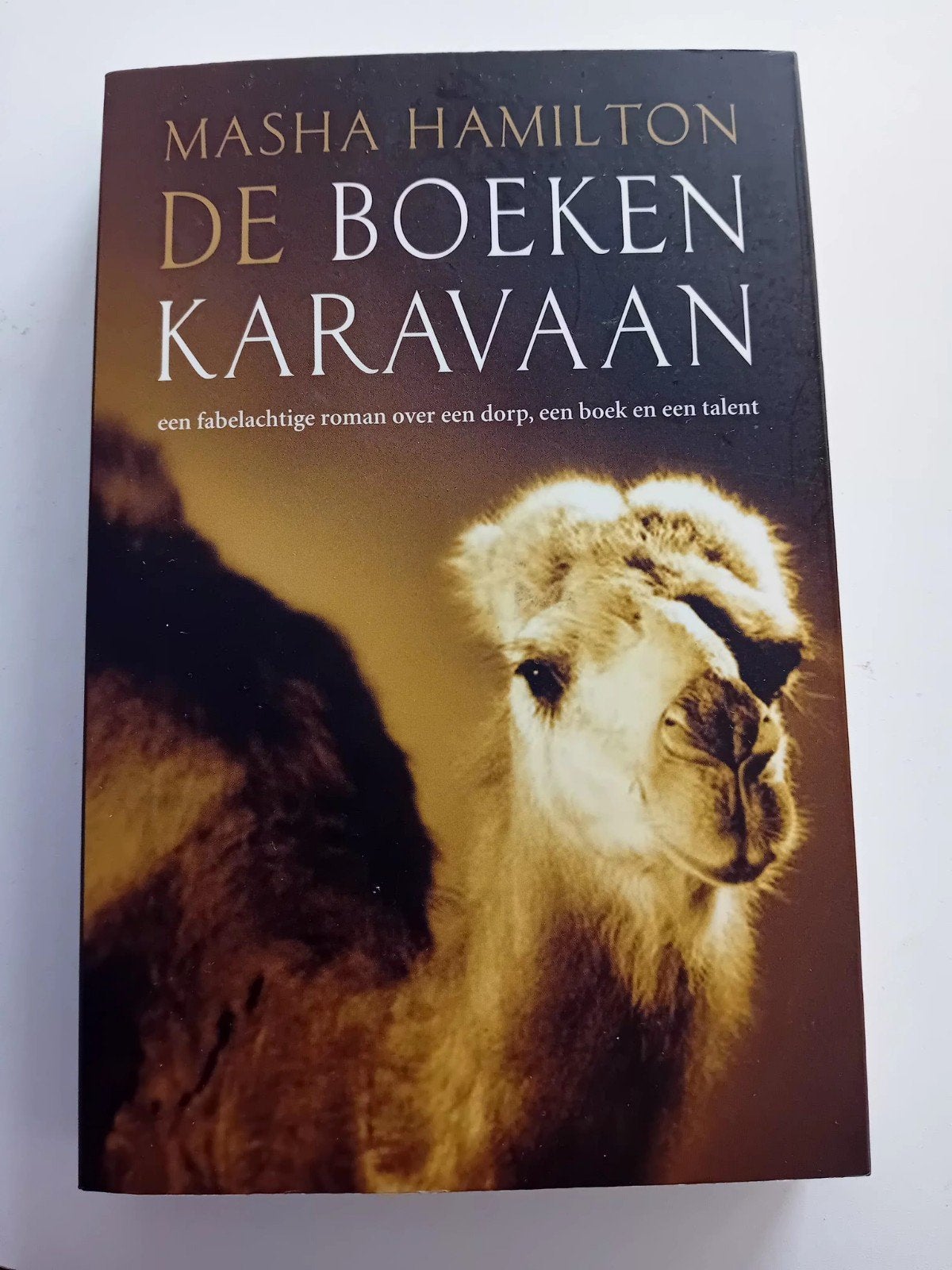 De boeken karavaan - Masha Hamilton, Ophalen of Verzenden, Zo goed als nieuw