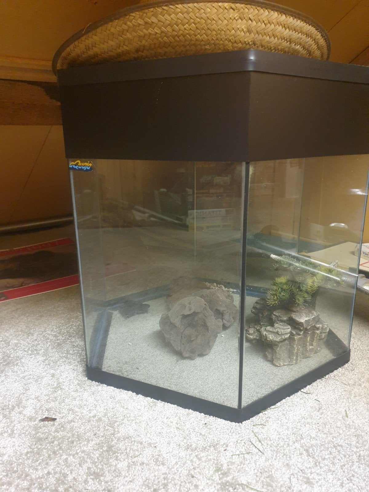 Mooi zeshoekig aquarium., Dieren en Toebehoren, Ophalen, Zo goed als nieuw, Leeg aquarium