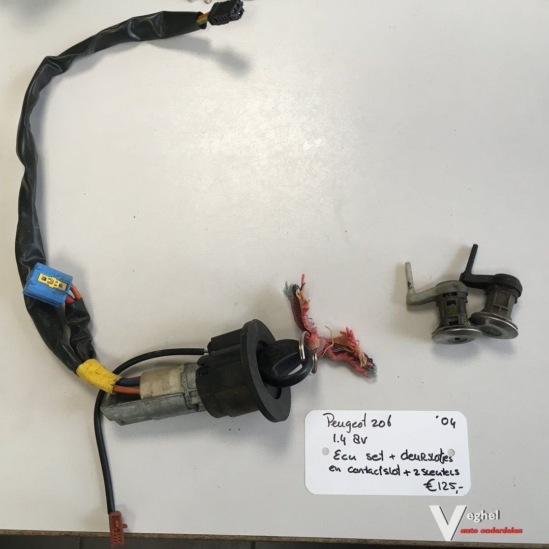 Peugeot 206 1.4 8v 2004   Ecu Set  , ECU , BSI , zekeringkas