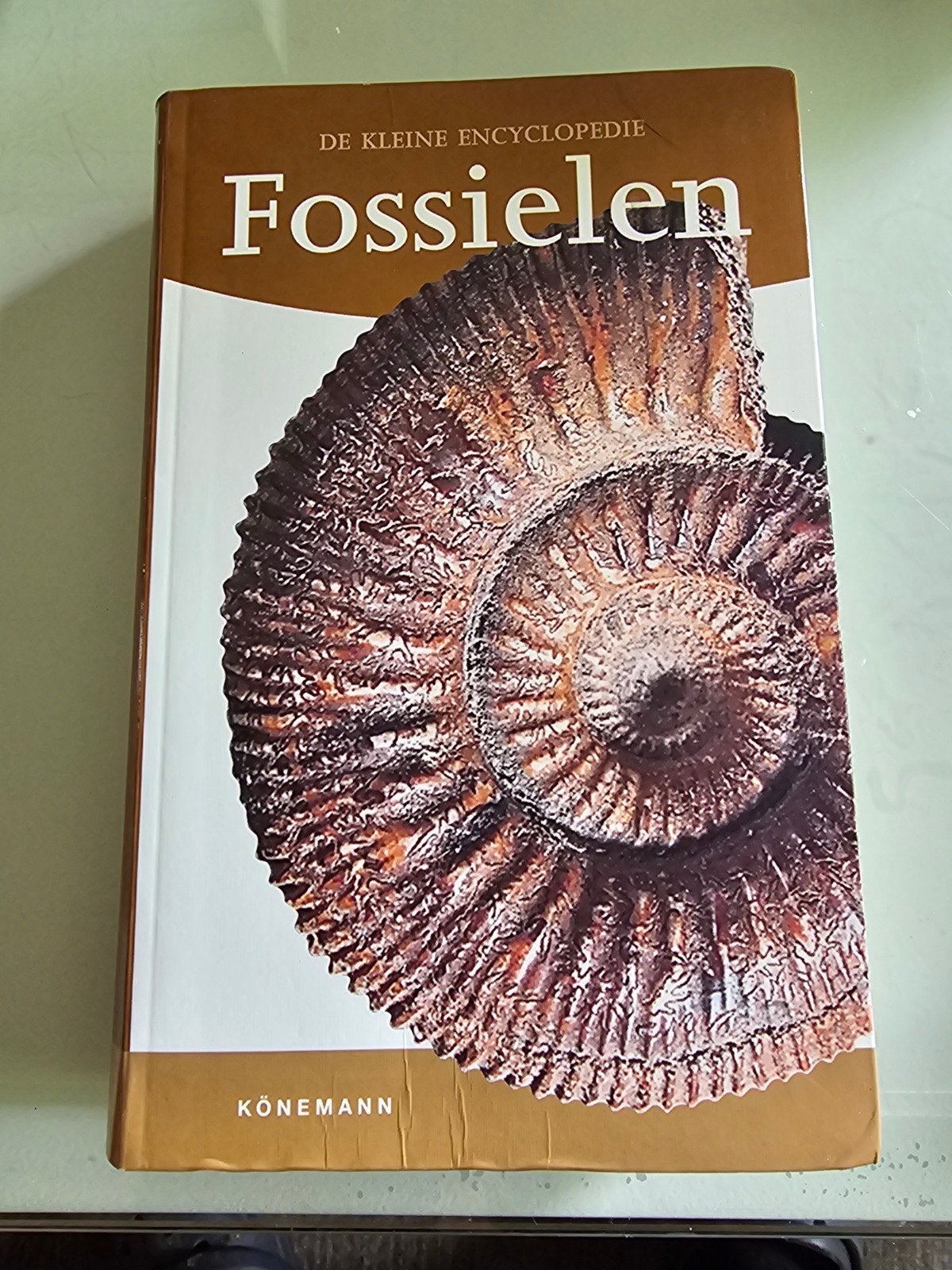 Kleine encyclopedie fossielen - Zo goed als nieuw, Boeken, Ophalen of Verzenden