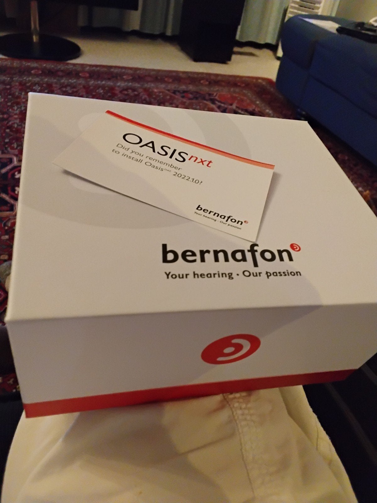 Bernafon Alpha miniRITE gehoorapparaten met oplader, Ophalen of Verzenden, Zo goed als nieuw