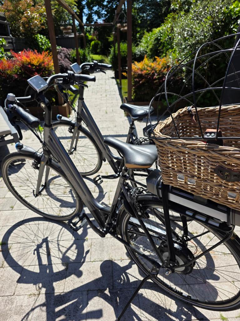 2x Koga elektrische fietsen - Perfect voor stellen!, 51 tot 55 cm, Ophalen, Gebruikt, Overige merken