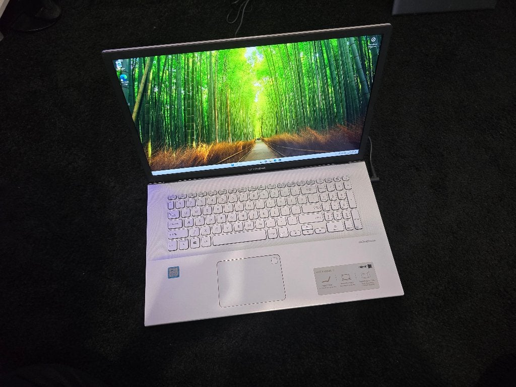 Asus VivoBook X712FB, Computers en Software, Ophalen, 15 inch, 2 tot 3 Ghz, SSD