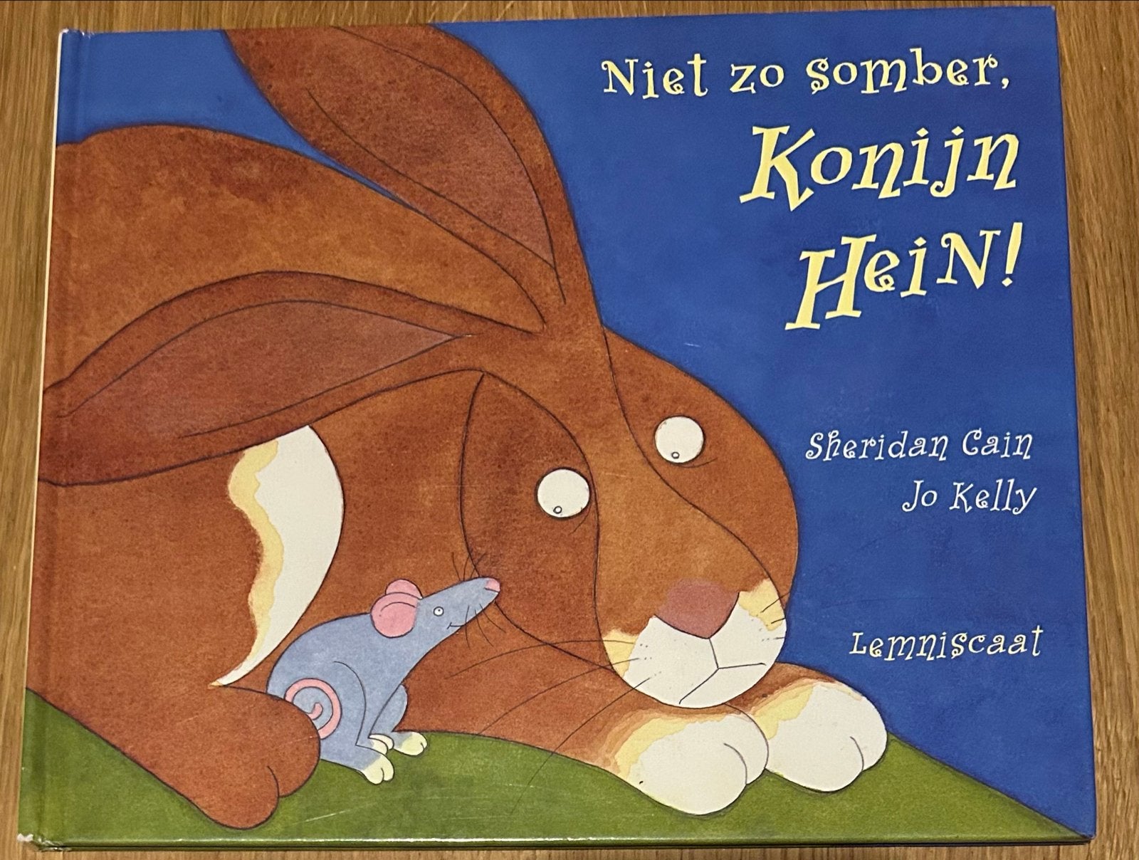 Niet zo somber, Konijn Hein! - Prentenboek, Gelezen, Fictie algemeen, Jongen of Meisje, Ophalen of Verzenden