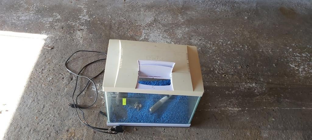 Aquarium,  leuke Aquarium voor garnalen guppies en goudvisse, Dieren en Toebehoren, Vis